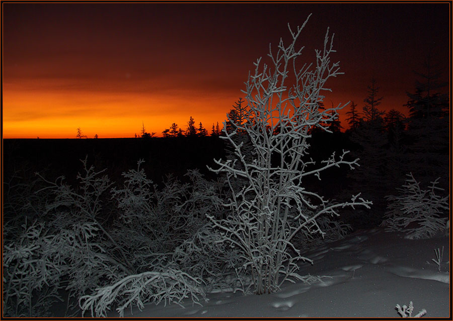 photo "***" tags: landscape, night, sunset, winter, мороз