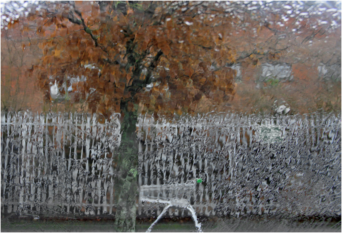 photo "***" tags: street, city, rain, tree, дерева