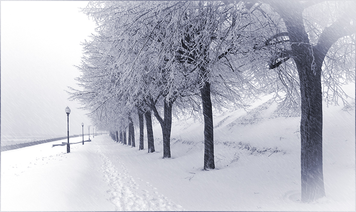 photo "***" tags: landscape, black&white, city, snow, winter, ветви, днревья