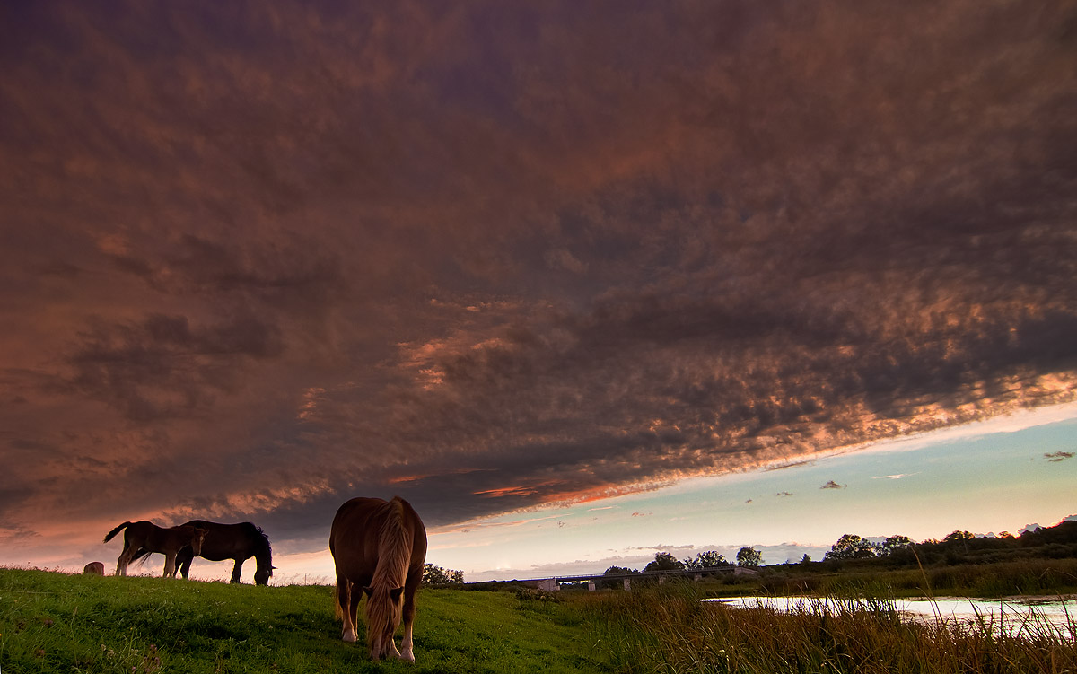 photo "***" tags: landscape, nature, Луг закат