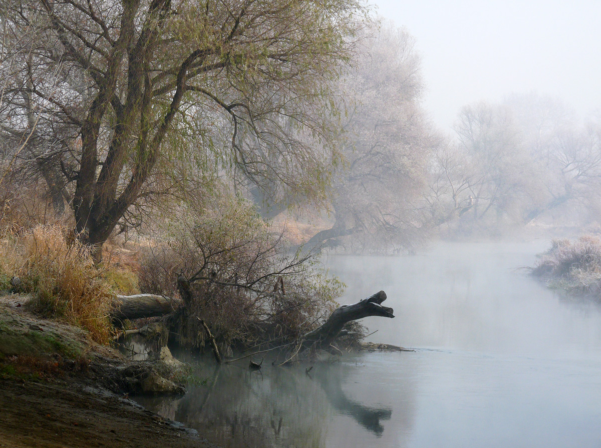 photo "***" tags: landscape, winter