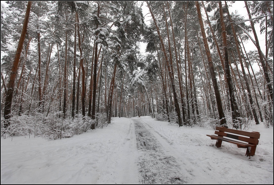 фото "зима в парке" метки: пейзаж, природа, 