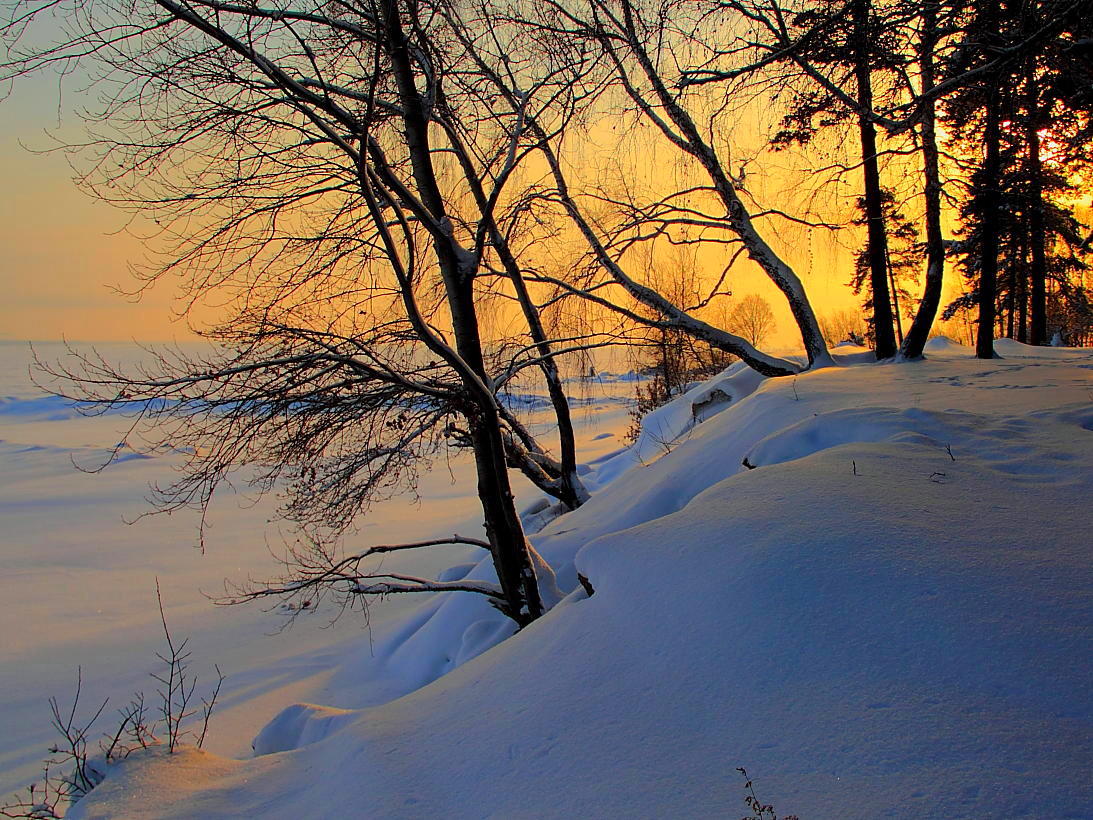 photo "***" tags: landscape, snow, деревья