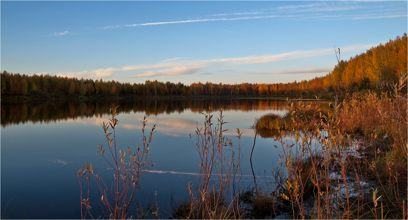 photo "***" tags: landscape, birches, forest, grass, river, summer, sunset, water