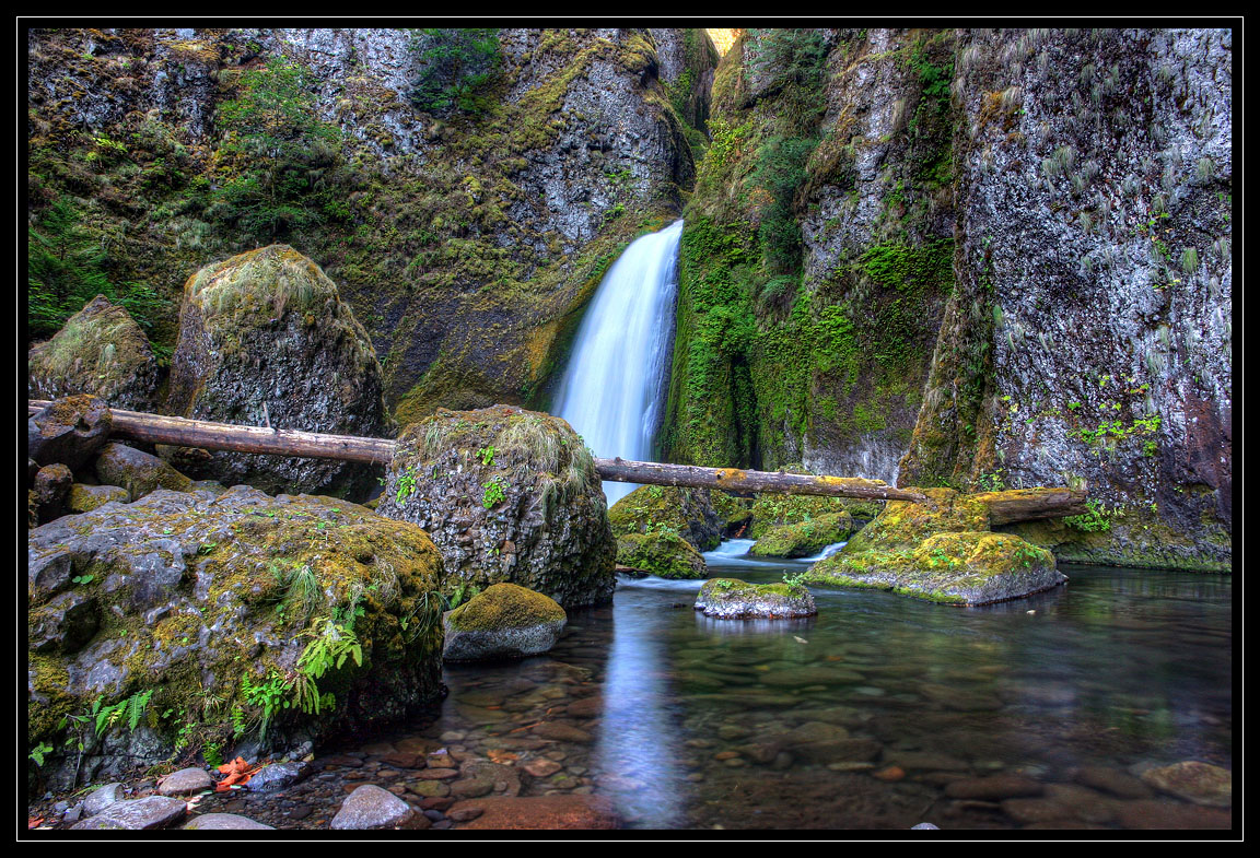 photo "***" tags: landscape, forest, water