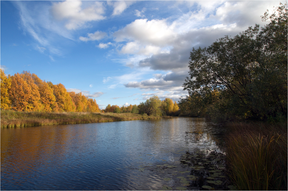 photo "***" tags: landscape, autumn, birches, clouds, forest, grass, river, water, деревня