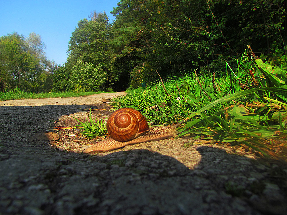 фото "Дом:)" метки: природа, 