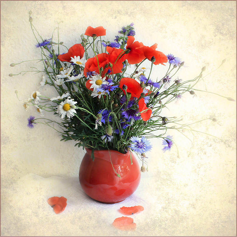 фото "Для вас,друзья,- просто так..." метки: натюрморт, foto liubos, still life, цветы