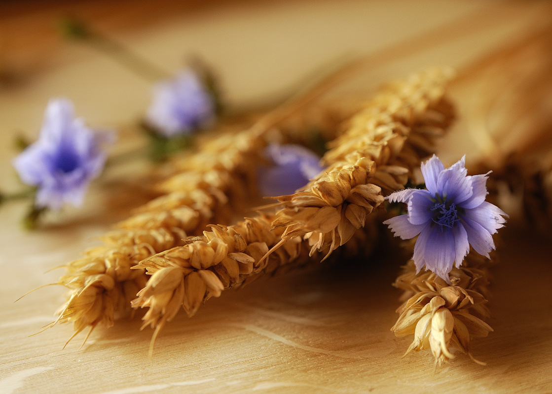 photo "***" tags: still life, 