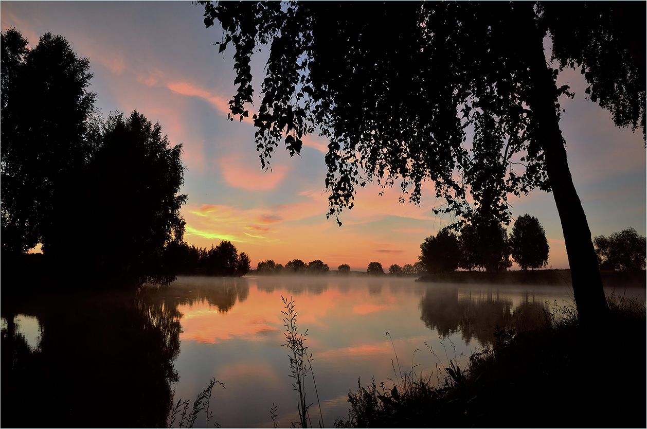 photo "***" tags: landscape, clouds, morning, pond, reflections, sky, summer, water, деревья, травы