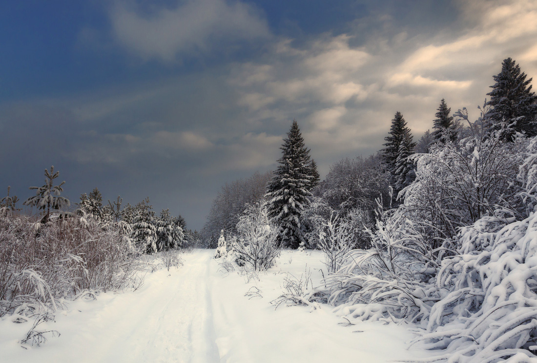 photo "***" tags: landscape, forest, sky, snow, winter, Тропинка, елки, сугробы, тучи