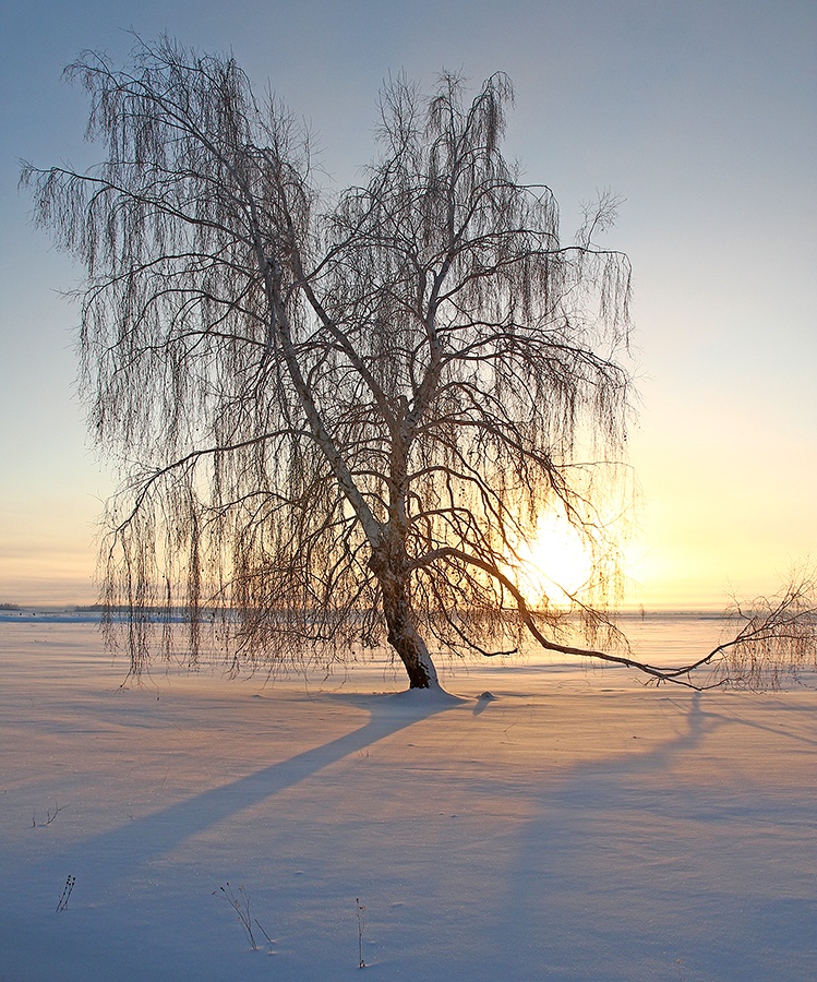 фото "***" метки: пейзаж, 