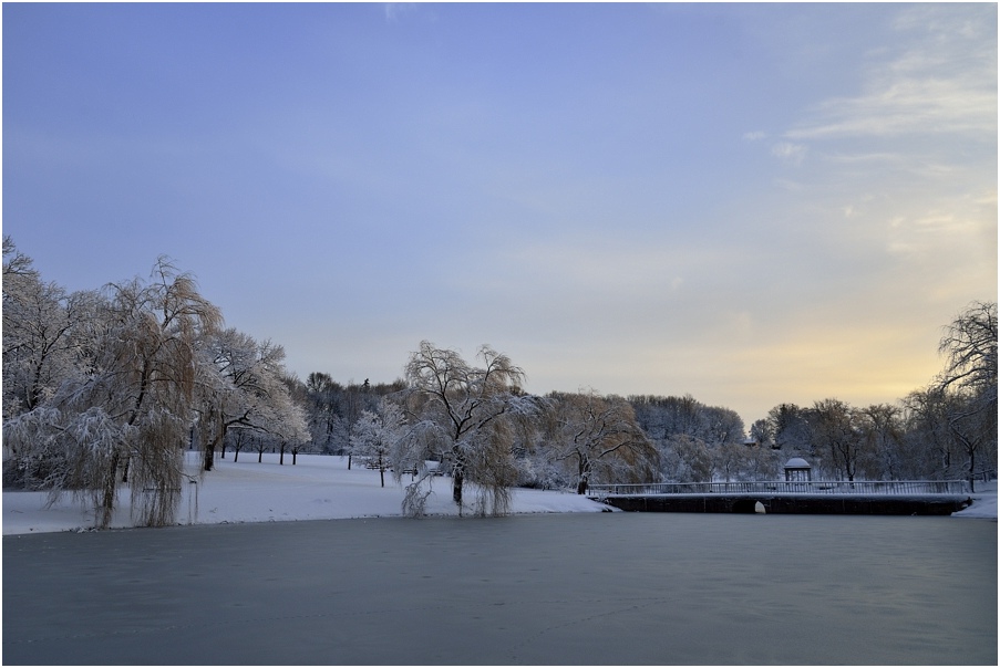 photo "***" tags: landscape, forest, sunrise, water, winter