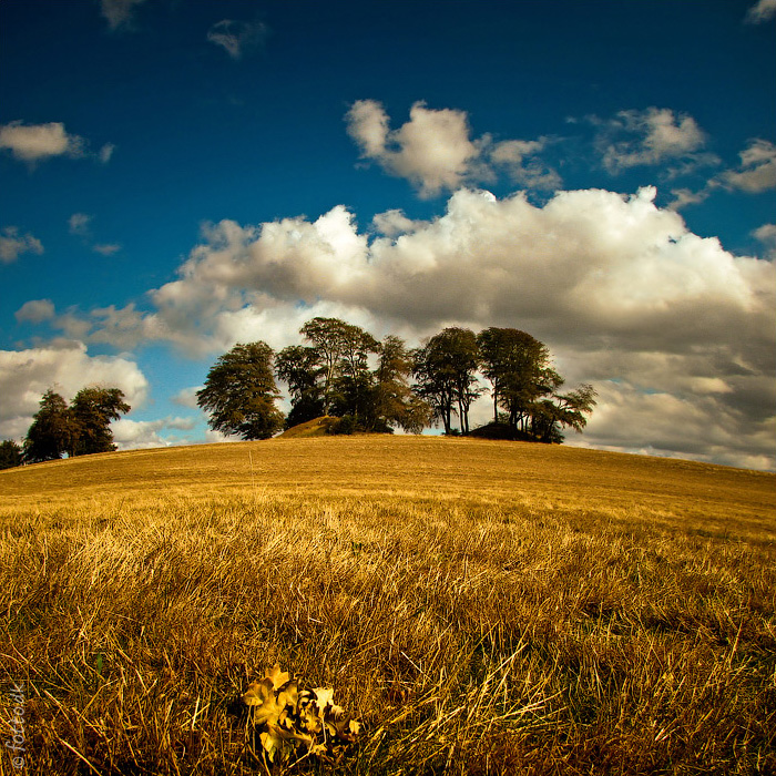 photo "***" tags: landscape, autumn, field, дания