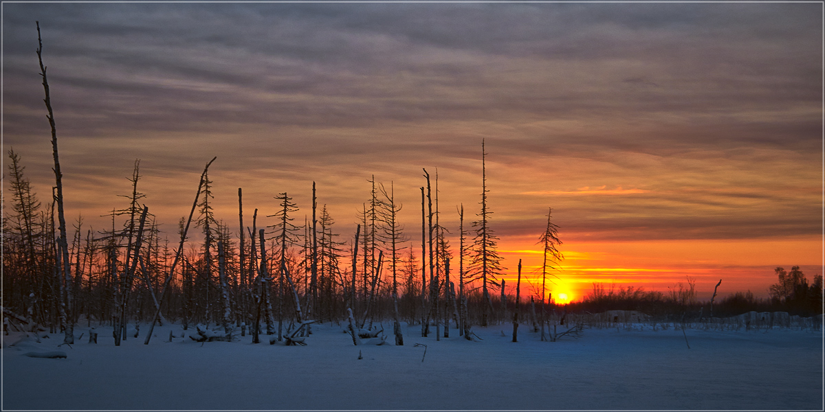 photo "***" tags: landscape, nature, panoramic, sunset, winter