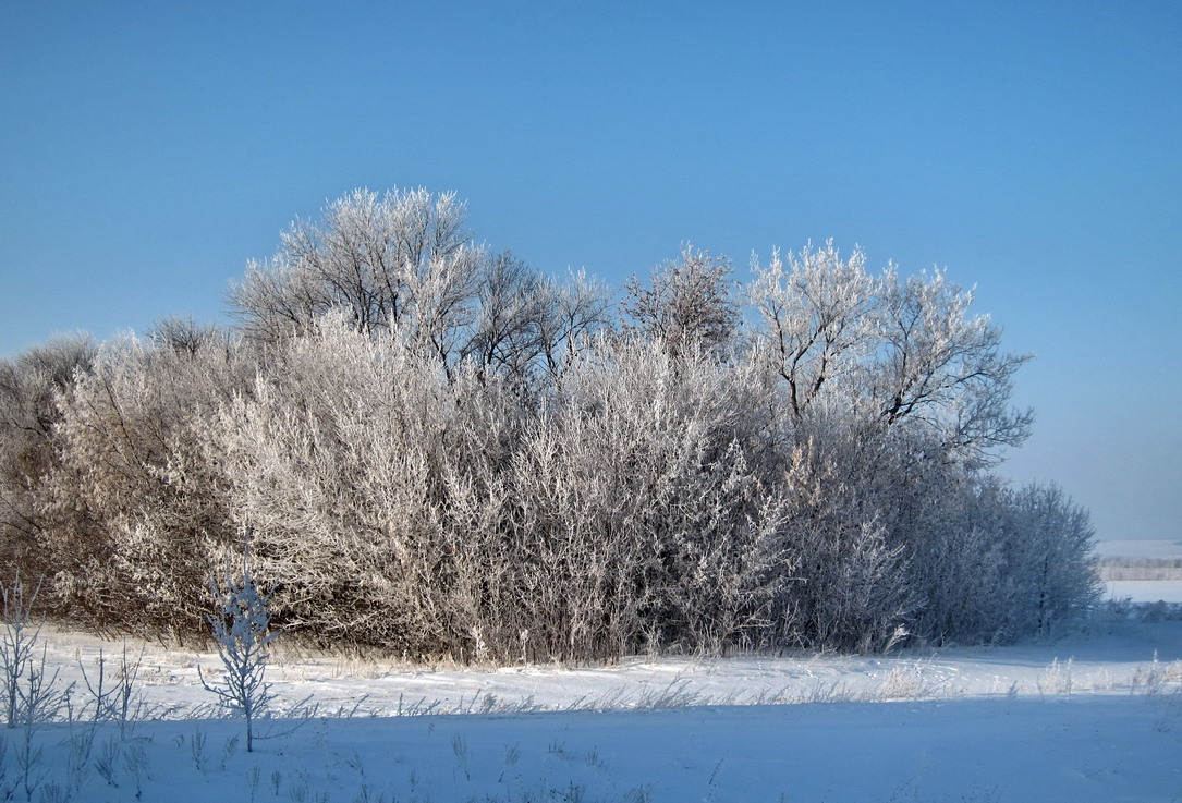 photo "***" tags: landscape, winter