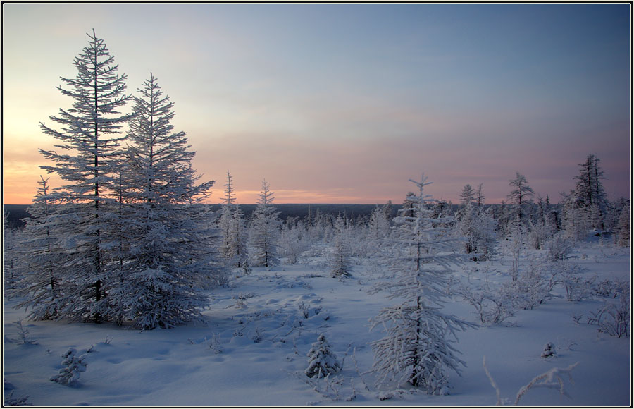 photo "***" tags: landscape, рассвет зима тайга