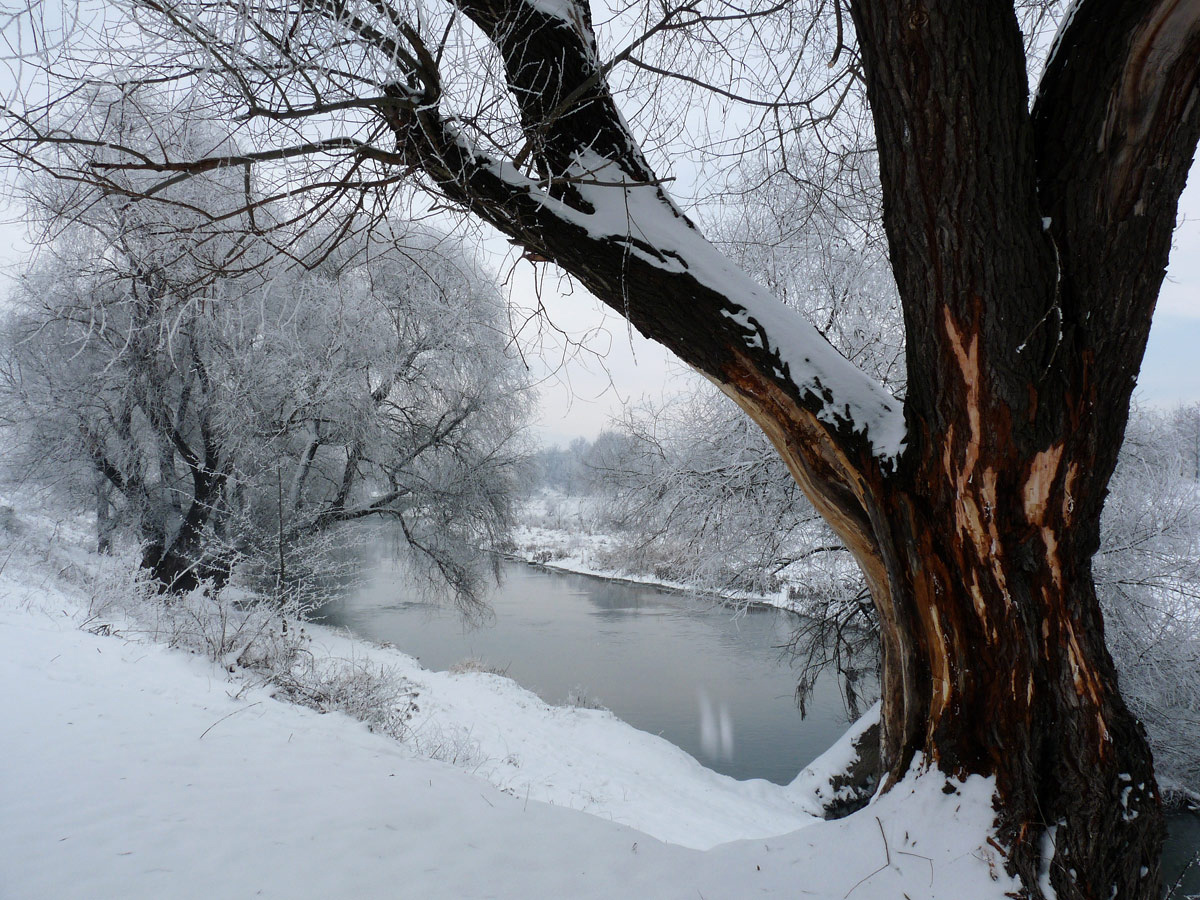 photo "***" tags: landscape, winter