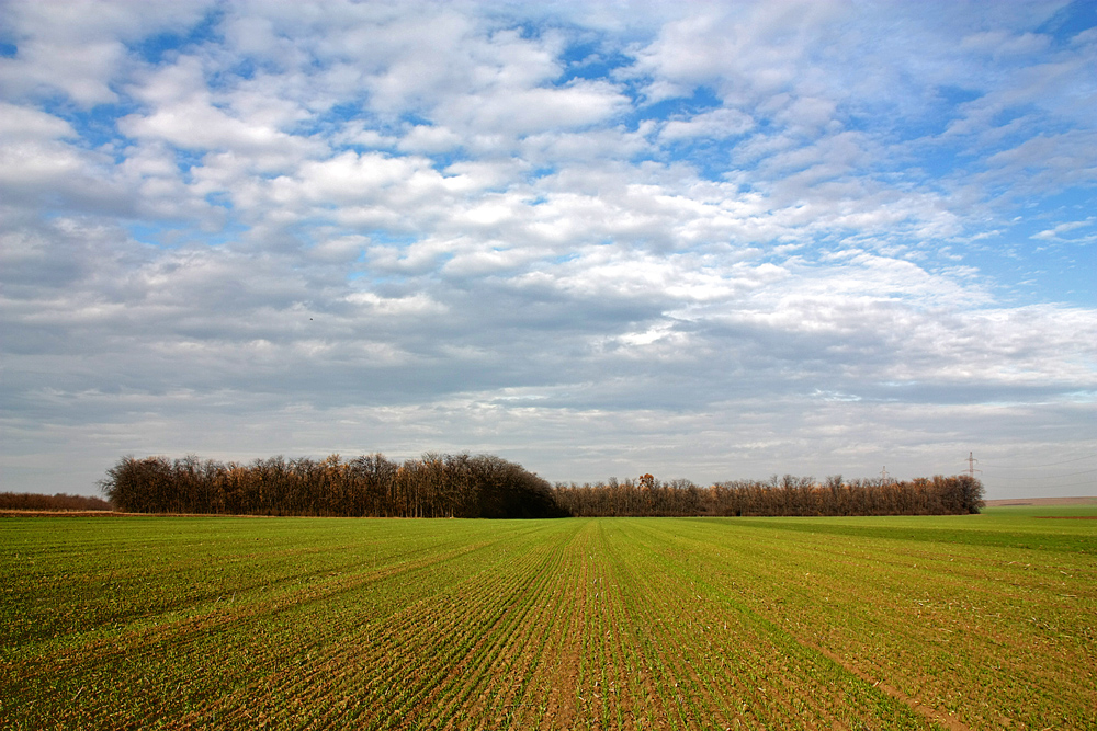 photo "***" tags: landscape, nature, autumn, clouds, forest, plain, sky