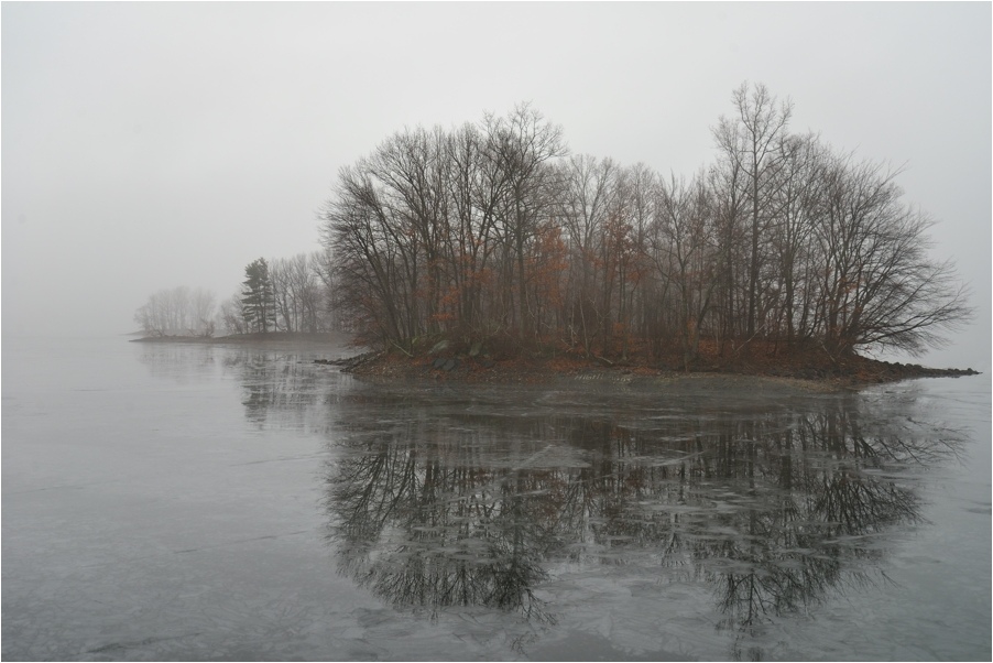 photo "Misty Island" tags: landscape, forest, water, winter