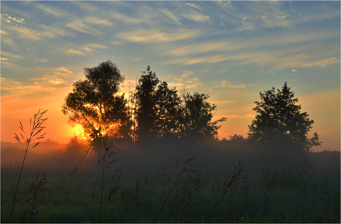 photo "***" tags: landscape, clouds, fog, meadow, morning, sky, summer, sun, Восход, деревья, лучи, травы