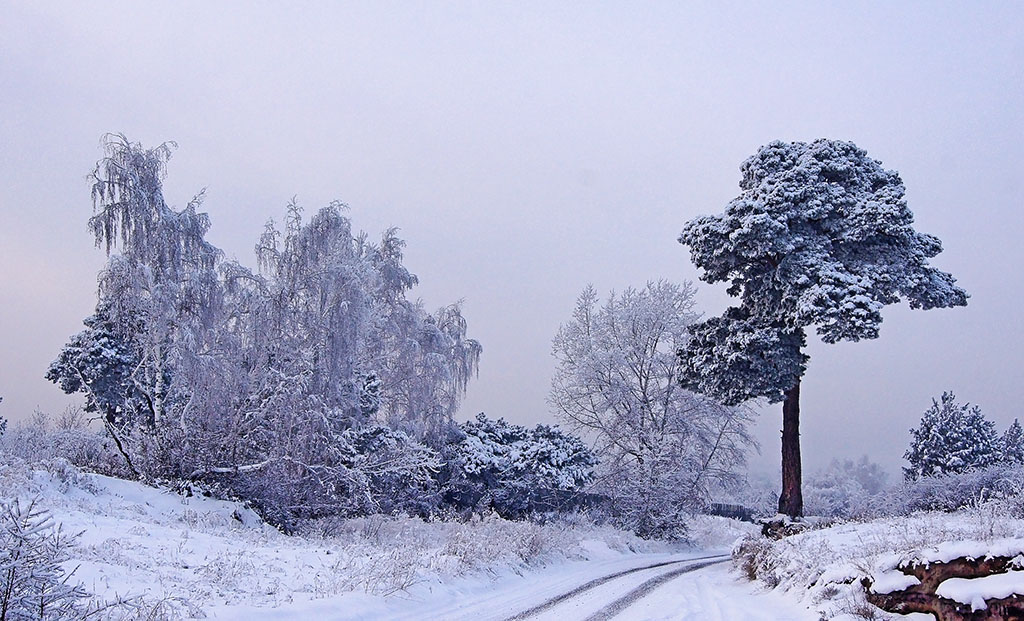 фото "***" метки: пейзаж, 