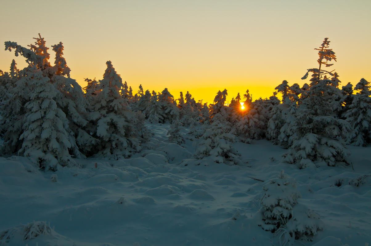 фото "Winter" метки: пейзаж, природа, 