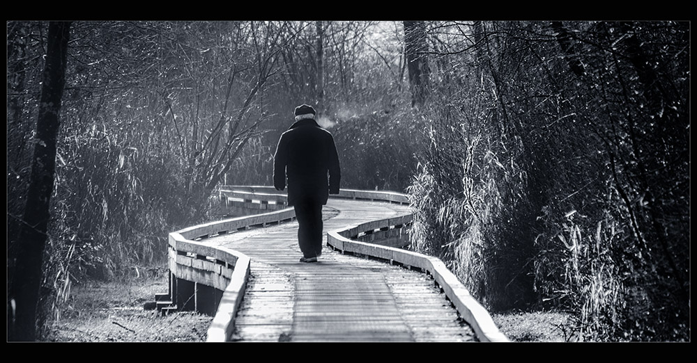 photo "Winter walk" tags: black&white, 