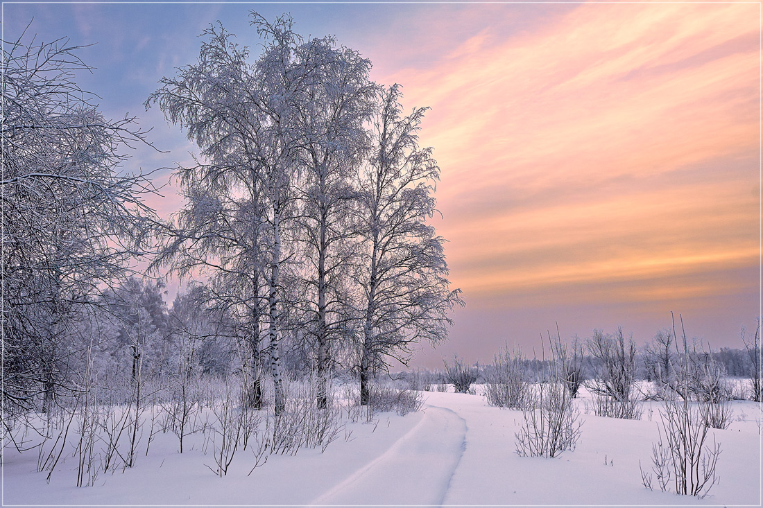 photo "***" tags: landscape, nature, forest, winter