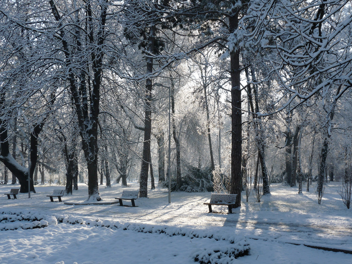 фото "***" метки: город, зима