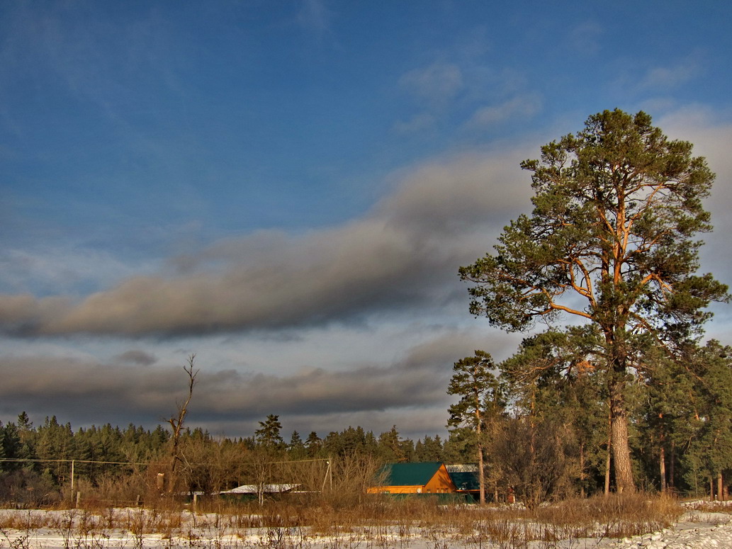 фото "Хутор" метки: пейзаж, зима, лес, мороз, облака