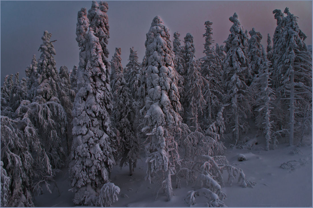 photo "***" tags: landscape, nature, 