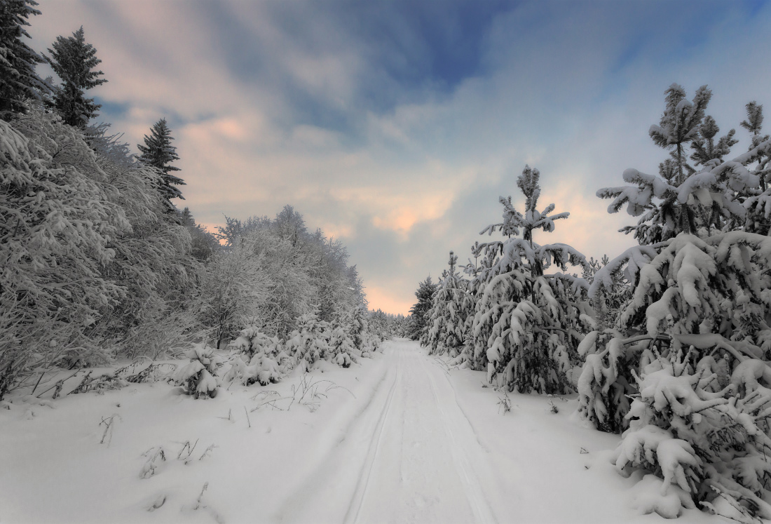 photo "***" tags: landscape, clouds, forest, sky, snow, winter, Тропинка, елки, краски, мороз