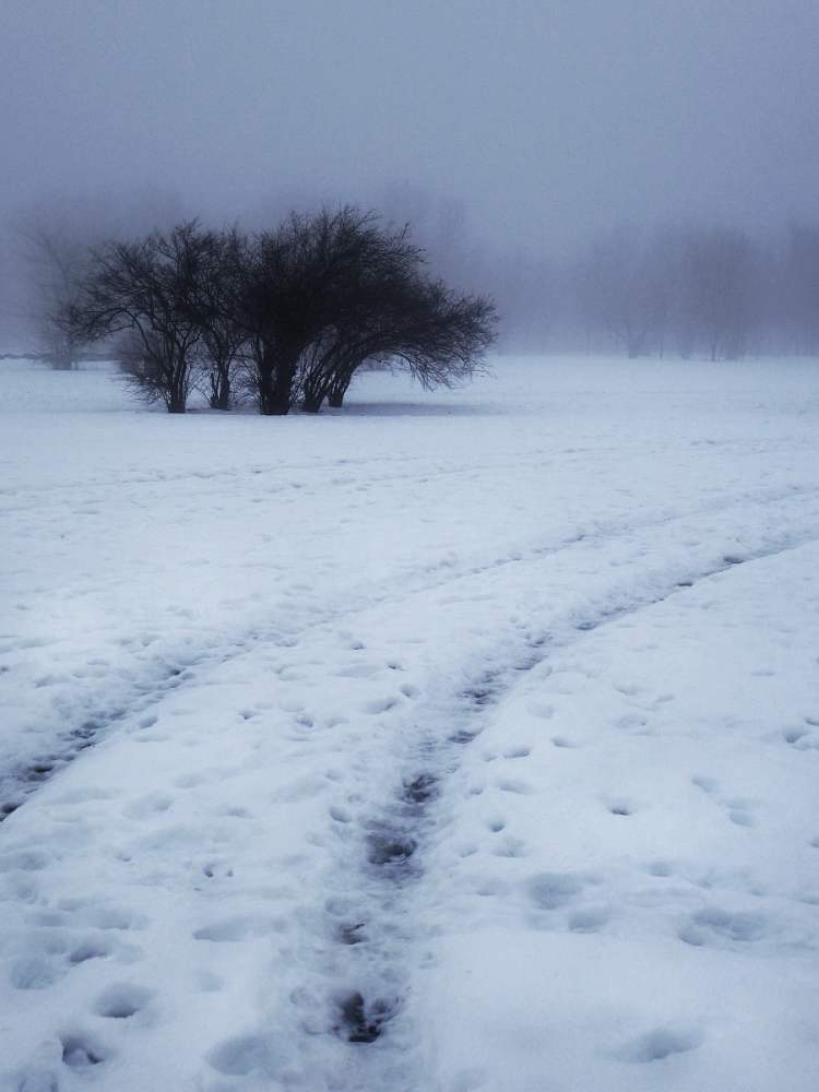 photo "Epiphany Morn" tags: , 