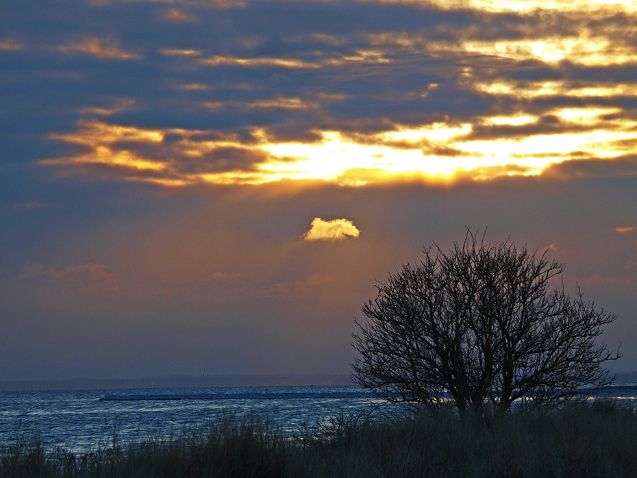 photo "Black Gold" tags: landscape, nature, 