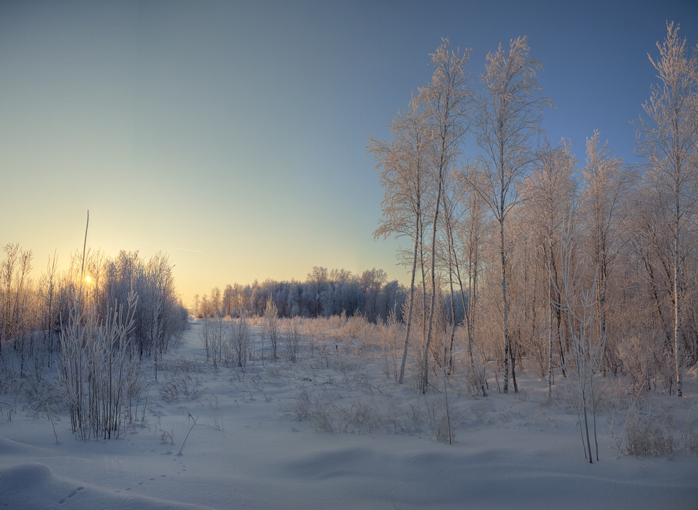 photo "***" tags: landscape, forest, snow, sun, winter