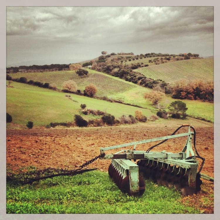 photo "***" tags: landscape, old-time, 