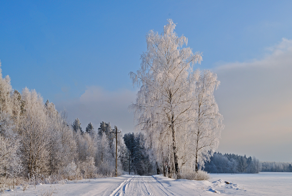 фото "***" метки: пейзаж, зима