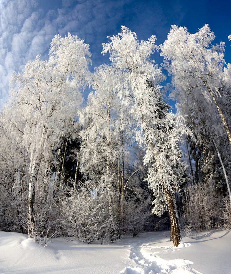 photo "***" tags: landscape, nature, panoramic, Russia, forest, winter