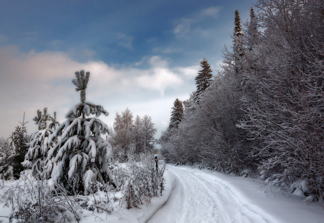 photo "***" tags: landscape, forest, sky, snow, winter, Тропинка, елки, мороз