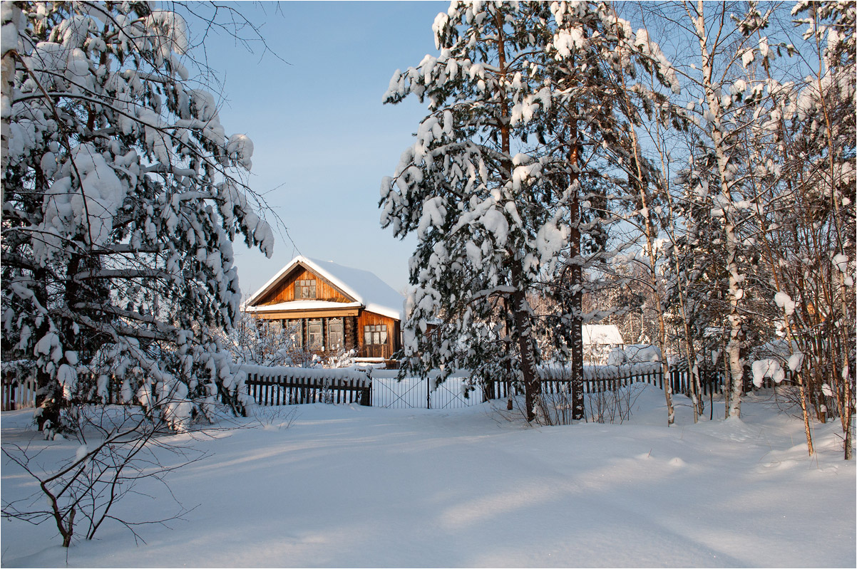 photo "***" tags: landscape, forest, hoarfrost, snow, winter, дома, ели