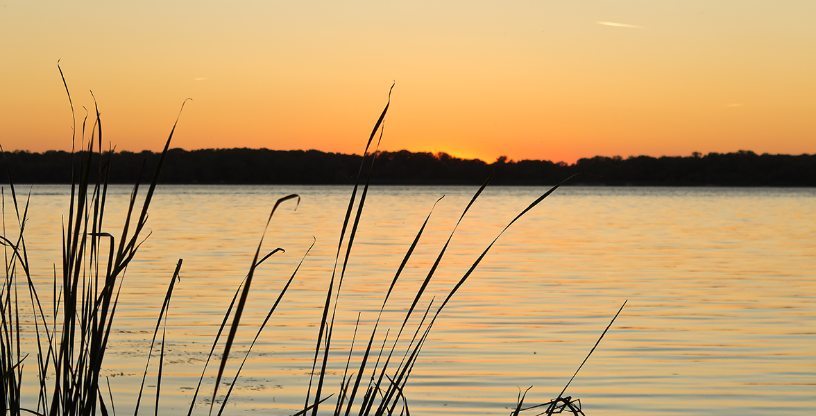 photo "***" tags: landscape, Dnieper, Ukraine, evening, september, sunset, Запорожье, плавни