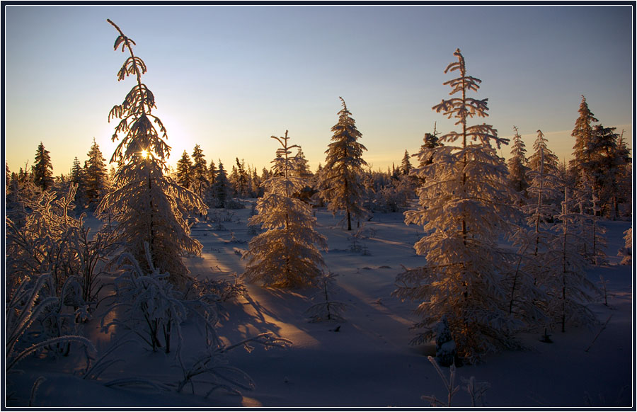 photo "***" tags: landscape, evening, taiga, winter, мороз