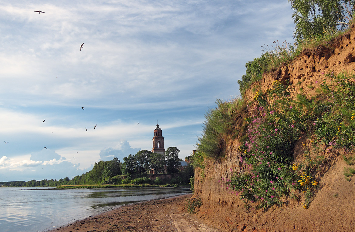 photo "***" tags: landscape, coast, river, summer, ласточки