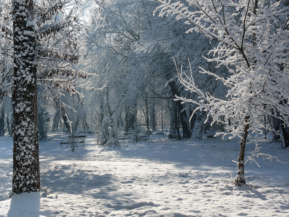 photo "***" tags: landscape, winter
