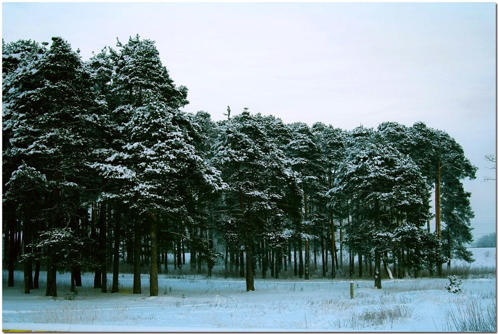 фото ",,," метки: пейзаж, 