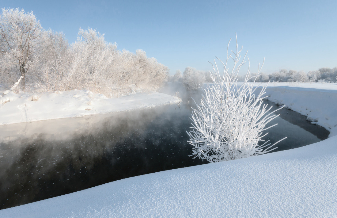 photo "***" tags: landscape, coast, forest, hoarfrost, snow, winter, Речка, куст, мороз, сугробы