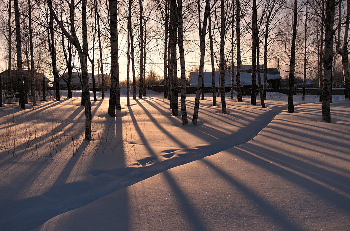 photo "***" tags: , snow, sun, Тропинка, деревья