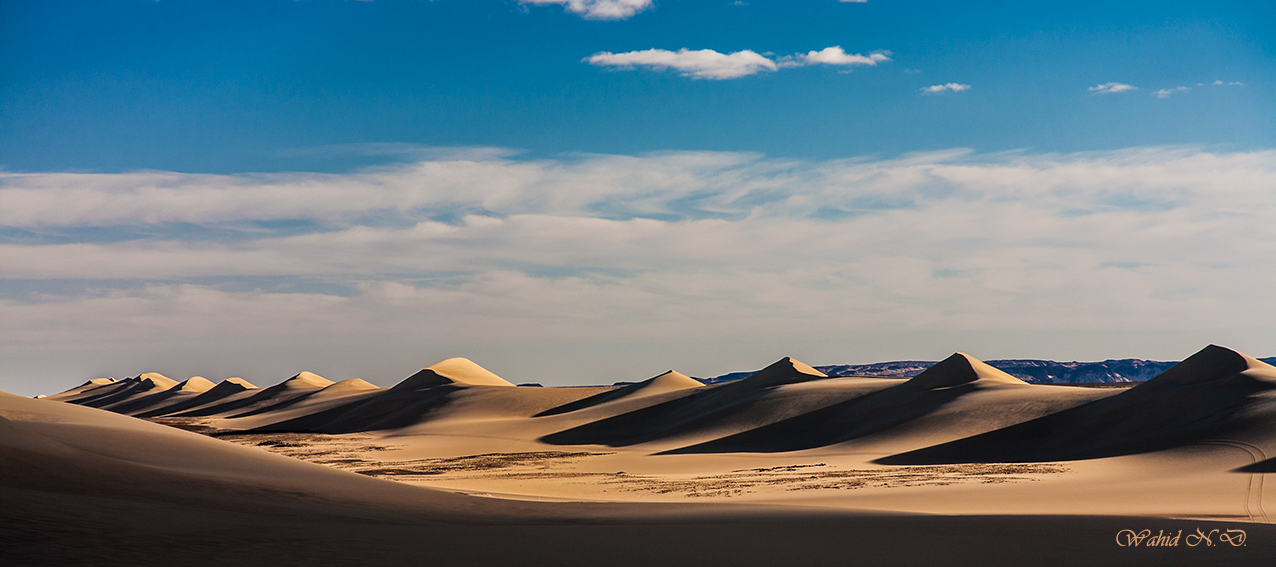 photo "Longitudinal Dunes" tags: landscape, travel, nature, Africa, Dseert, Sand