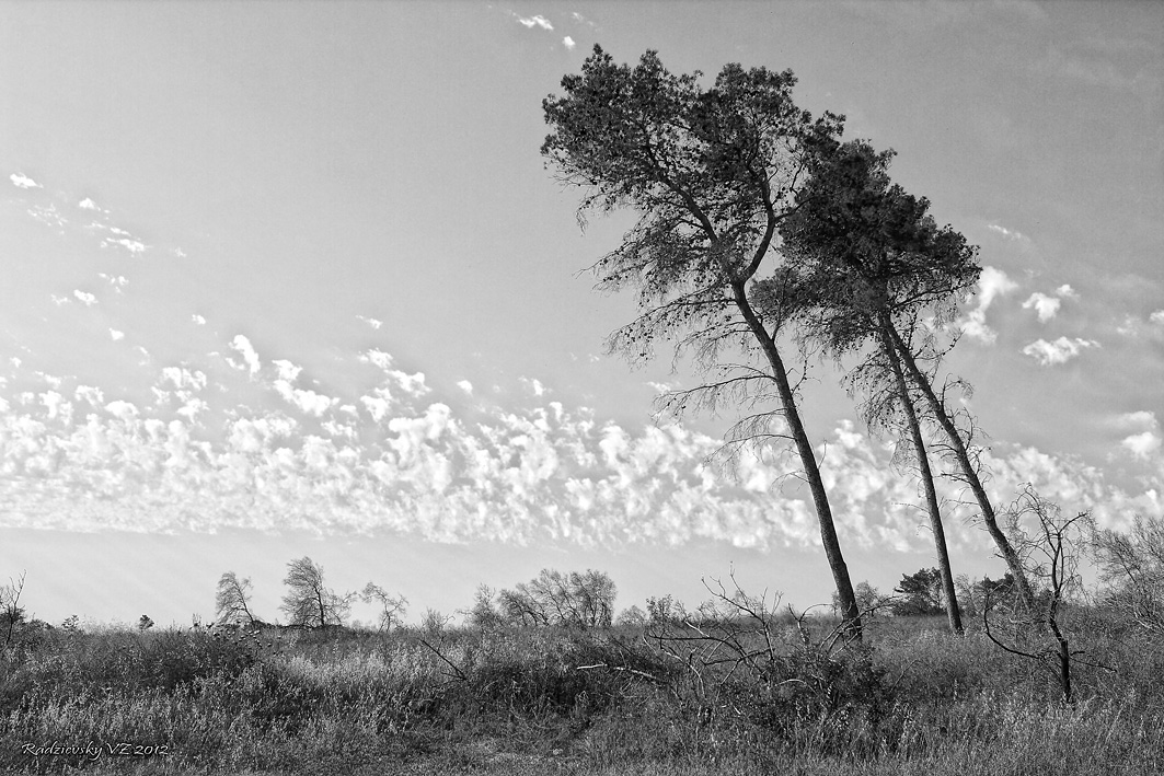 photo "***" tags: black&white, 